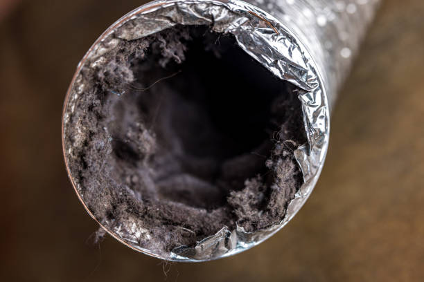 Best Emergency Air Duct Cleaning  in Ferry Pass, FL